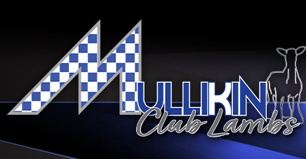 Mullikin Club Lambs