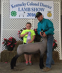 Mullikin Club Lambs Winner